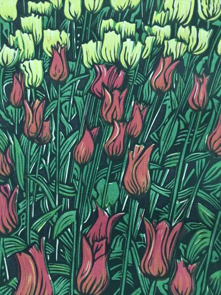 Tulips--Keukenhof