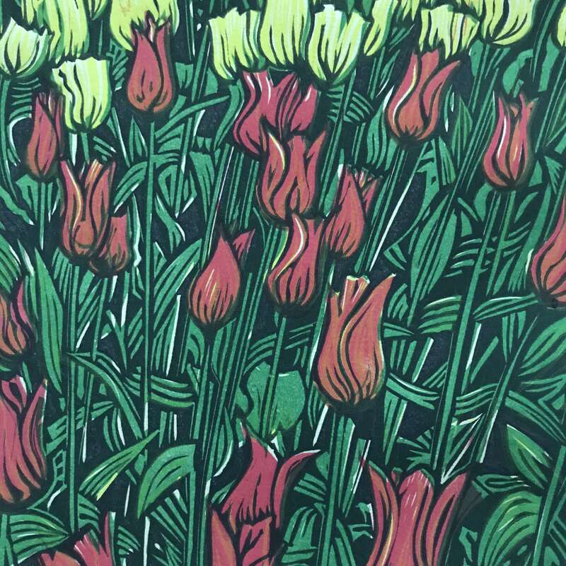 Tulips--Keukenhof